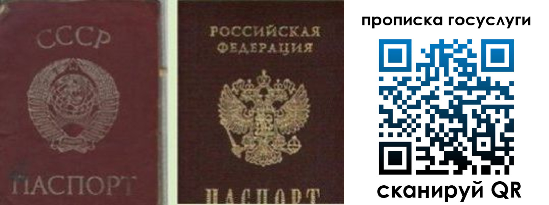 временная регистрация 2025 в Белгороде